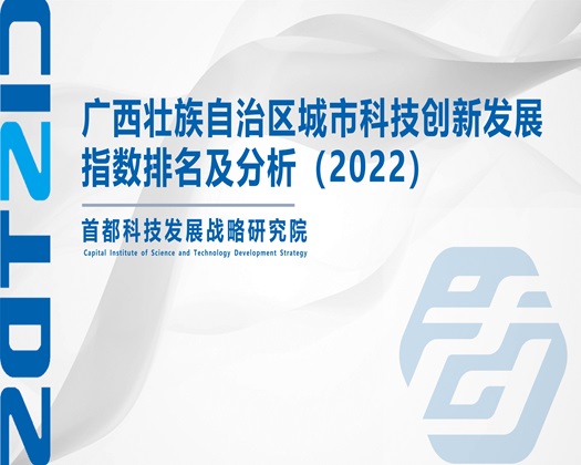 好好搞av【成果发布】广西壮族自治区城市科技创新发展指数排名及分析（2022）